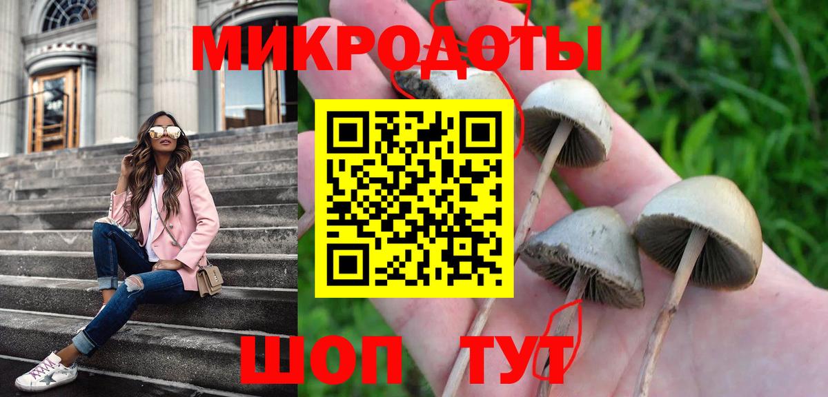 Курчатов  Галлюциногенные грибы мицелий  Вход с VPN 
